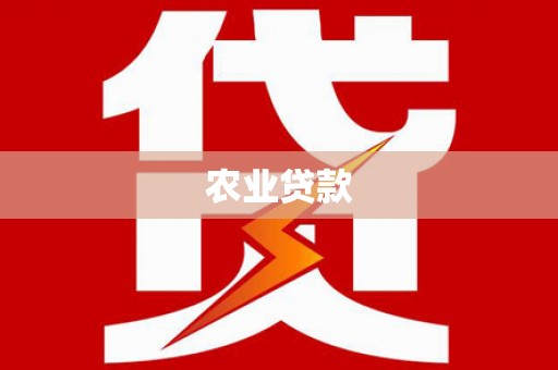 新华农业贷款