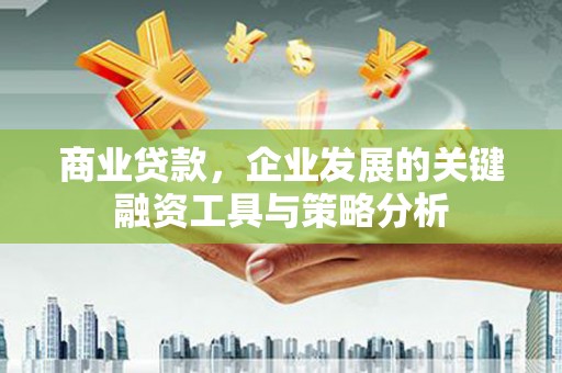 新华商业贷款，企业发展的关键融资工具与策略分析