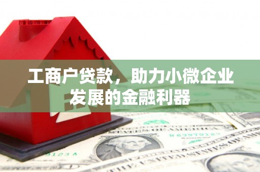 新华工商户贷款，助力小微企业发展的金融利器