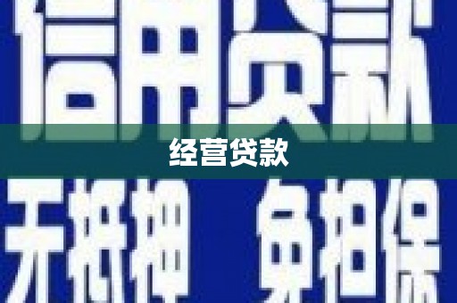 新华经营贷款