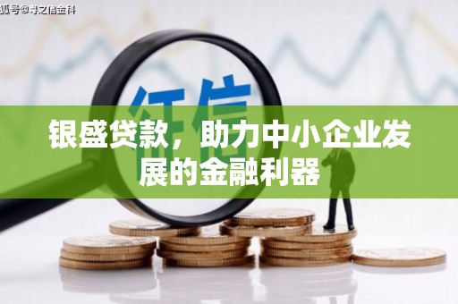 新华银盛贷款，助力中小企业发展的金融利器