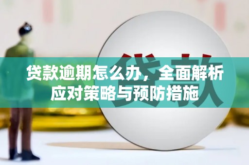 新华贷款逾期怎么办，全面解析应对策略与预防措施