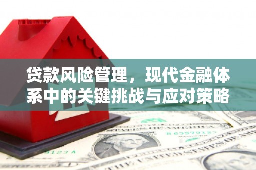 新华贷款风险管理，现代金融体系中的关键挑战与应对策略