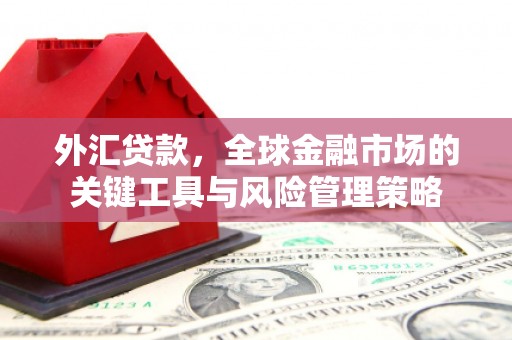 新华外汇贷款，全球金融市场的关键工具与风险管理策略