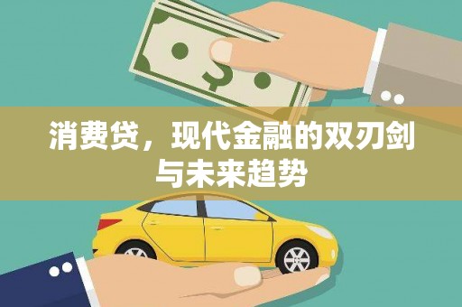 新华消费贷，现代金融的双刃剑与未来趋势