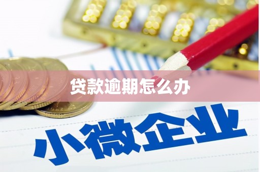 新华贷款逾期怎么办