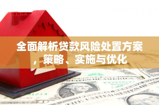 新华全面解析贷款风险处置方案，策略、实施与优化