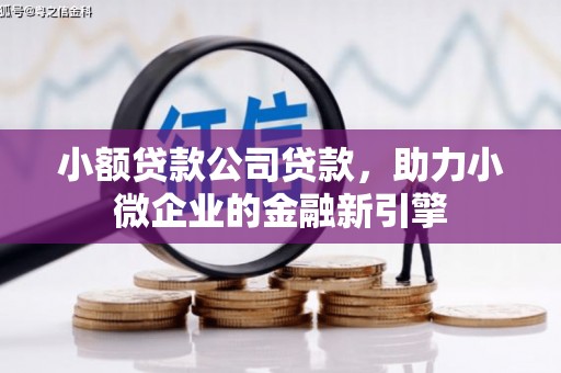 新华小额贷款公司贷款，助力小微企业的金融新引擎