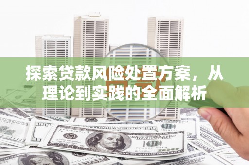 新华探索贷款风险处置方案，从理论到实践的全面解析