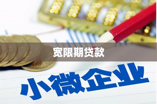 新华宽限期贷款