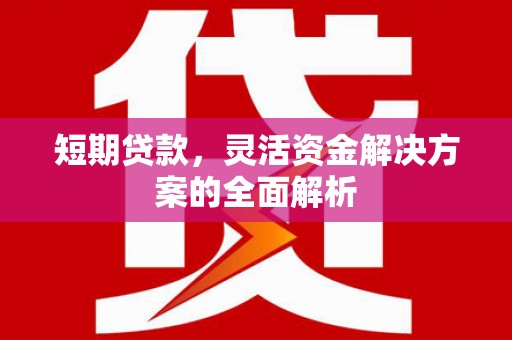 新华短期贷款，灵活资金解决方案的全面解析