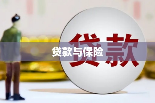 新华贷款与保险