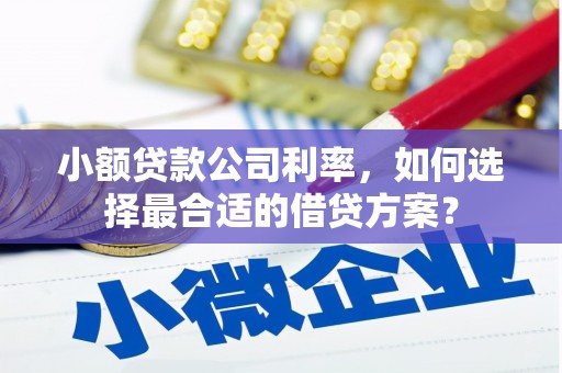 新华小额贷款公司利率，如何选择最合适的借贷方案？