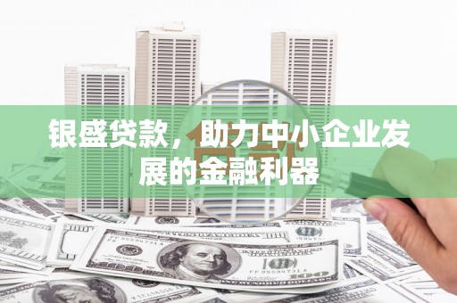 新华银盛贷款，助力中小企业发展的金融利器
