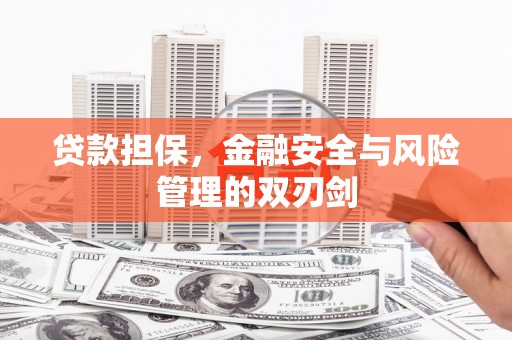 新华贷款担保，金融安全与风险管理的双刃剑