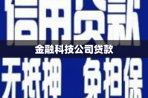 新华金融科技公司贷款