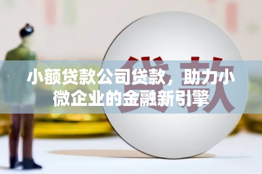 新华小额贷款公司贷款，助力小微企业的金融新引擎