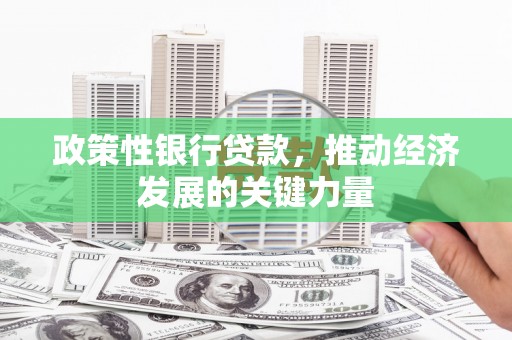 新华政策性银行贷款，推动经济发展的关键力量