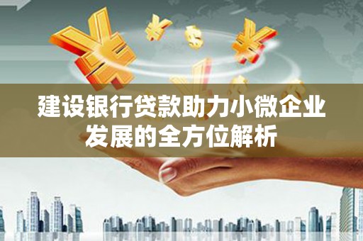 新华建设银行贷款助力小微企业发展的全方位解析