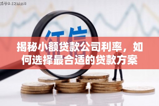 新华揭秘小额贷款公司利率，如何选择最合适的贷款方案