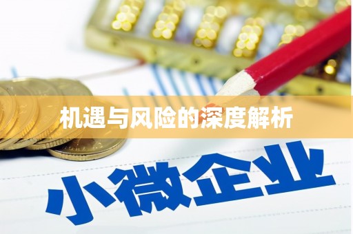 新华机遇与风险的深度解析