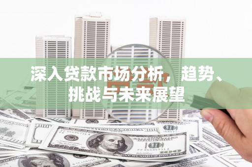 新华深入贷款市场分析，趋势、挑战与未来展望