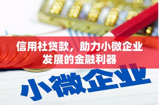 新华信用社贷款，助力小微企业发展的金融利器