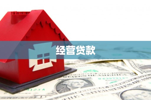 新华经营贷款
