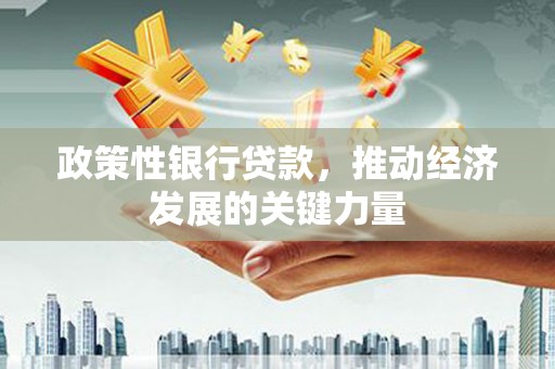 新华政策性银行贷款，推动经济发展的关键力量