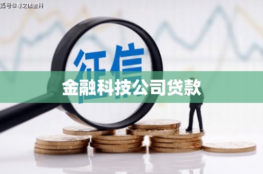 新华金融科技公司贷款