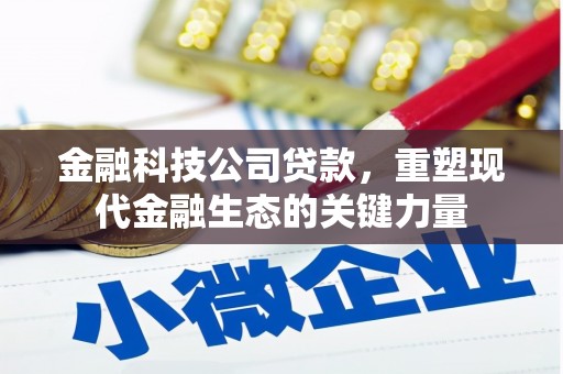 新华金融科技公司贷款，重塑现代金融生态的关键力量