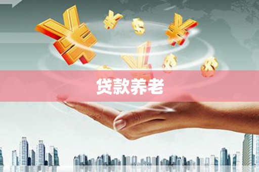 新华贷款养老