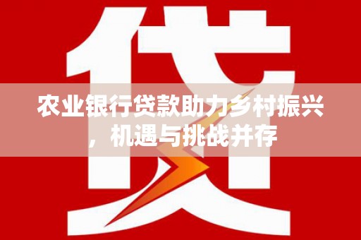 新华农业银行贷款助力乡村振兴，机遇与挑战并存