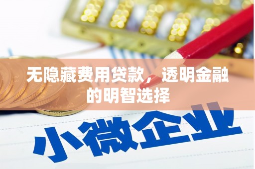 新华无隐藏费用贷款，透明金融的明智选择