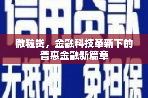 新华微粒贷，金融科技革新下的普惠金融新篇章