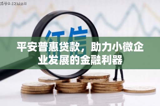 新华平安普惠贷款，助力小微企业发展的金融利器