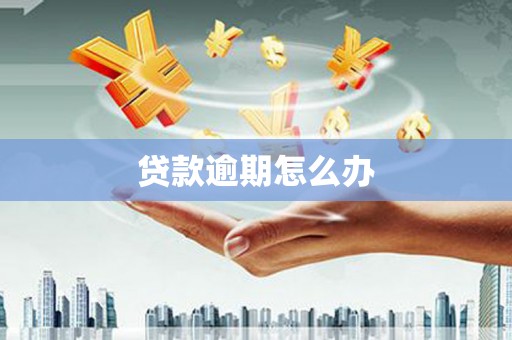 新华贷款逾期怎么办