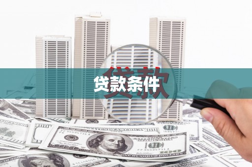 新华贷款条件
