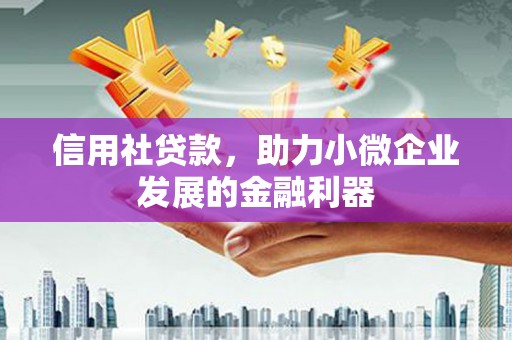 新华信用社贷款，助力小微企业发展的金融利器
