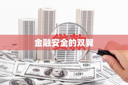 新华金融安全的双翼