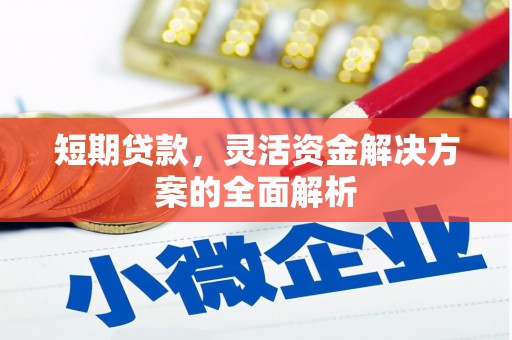 新华短期贷款，灵活资金解决方案的全面解析