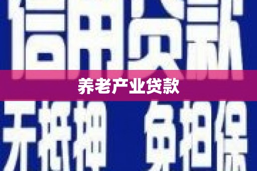 新华养老产业贷款