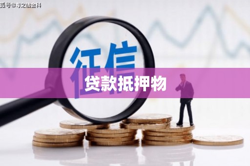 新华贷款抵押物