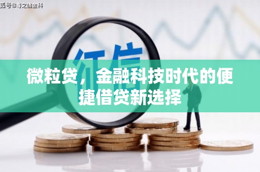 新华微粒贷，金融科技时代的便捷借贷新选择