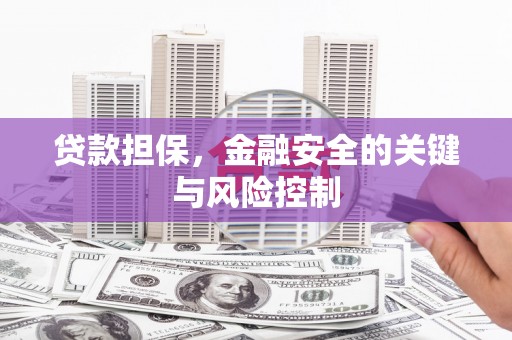 新华贷款担保，金融安全的关键与风险控制