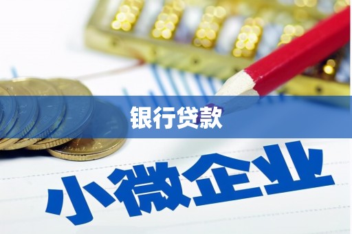 新华银行贷款