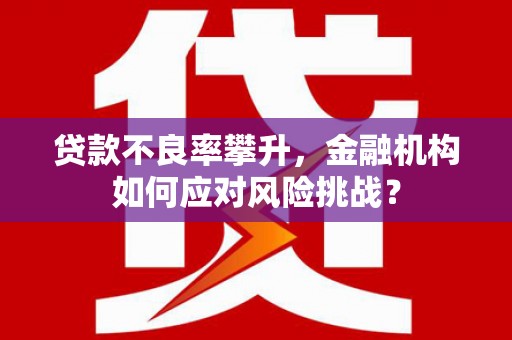 新华贷款不良率攀升，金融机构如何应对风险挑战？