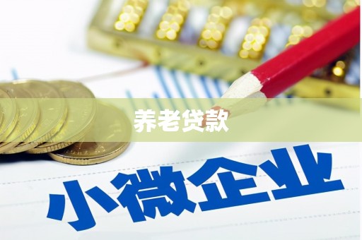 新华养老贷款