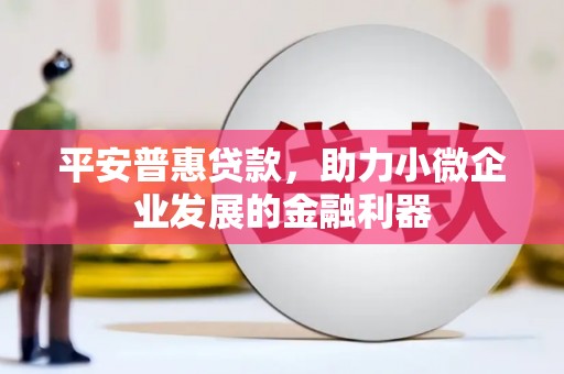 新华平安普惠贷款，助力小微企业发展的金融利器