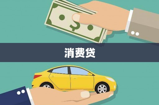 新华消费贷